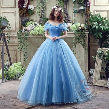 Robe de cendrillon pour adulte