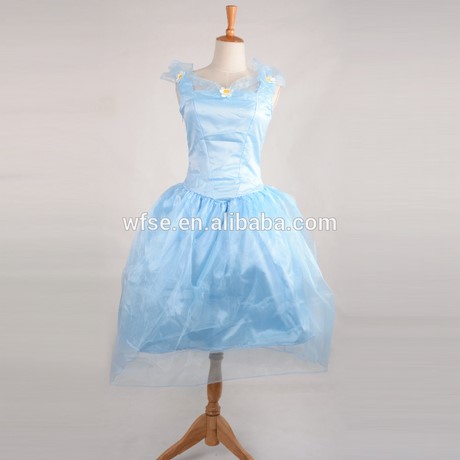 Robe de cendrillon pour adulte